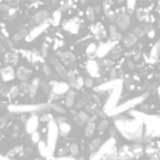 Cells